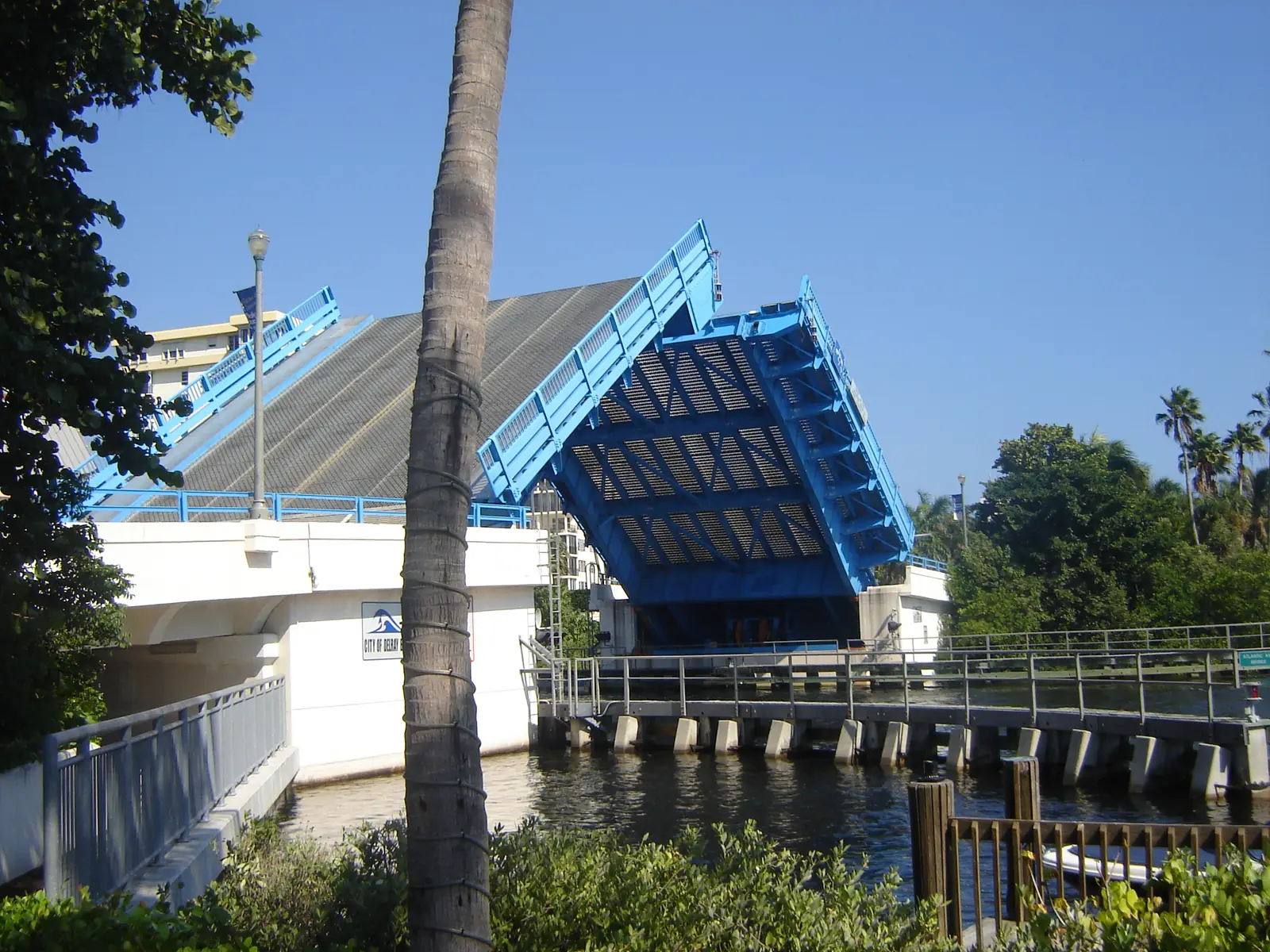 The raised blue bascule leaf of a drawbridge seen from the bank past a palm trunk, with a white bridge tender house, railings and dense green trees beside the water.