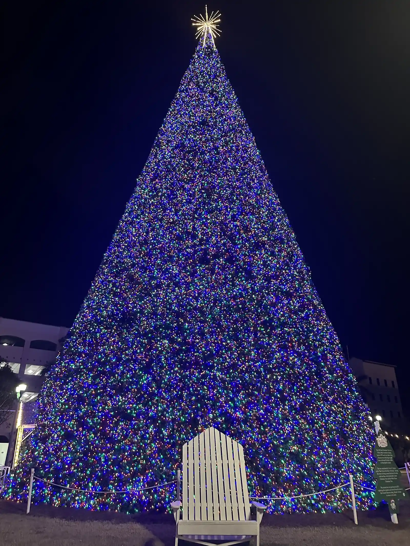 A very tall Christmas tree covered in blue and purple lights with a star on top, lit up against a night sky, with a large white Adirondack chair standing in front of it.