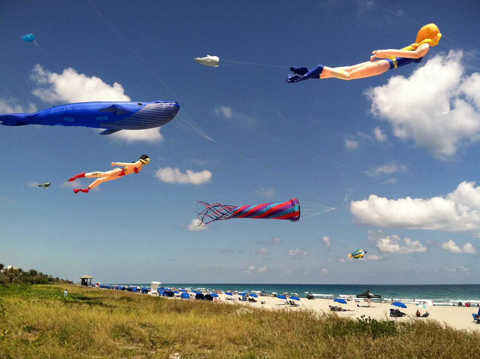Giant inflatable kites shaped like a blue whale, flying figures and a striped windsock float across a blue sky with white clouds above a crowded beach of blue umbrellas and dune grass.